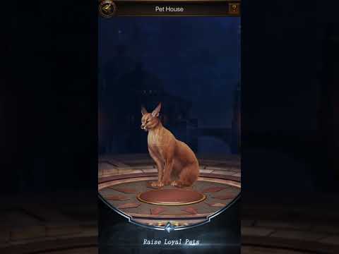 Revenge of Sultans для Android — официальный трейлер