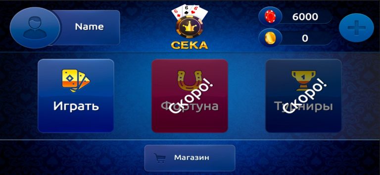 Сека для iOS — скриншот 2