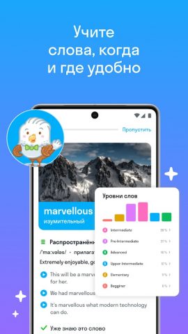 Skyeng: английский, репетиторы — скриншот 4