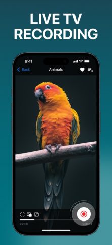 Smart IPTV Player — Смотри ТВ для iOS — скриншот 3