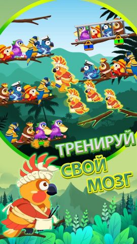 Сортировка Птиц 2: Головоломка для Android — скриншот 3