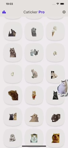 Стикеры-мемы с котами Caticker для iOS — официальный трейлер