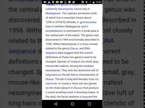 Urdu Dictionary & Translator — для Android — официальный трейлер