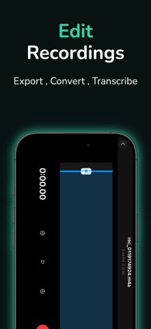Виртуальный микрофон — Колонка для iOS — скриншот 5
