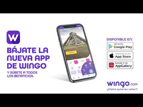 Wingo App для Android — официальный трейлер