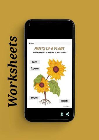Worksheets для Android — скриншот 2