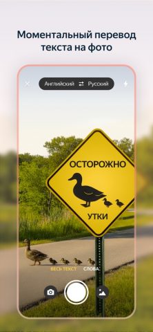 Яндекс Переводчик для iOS — скриншот 3