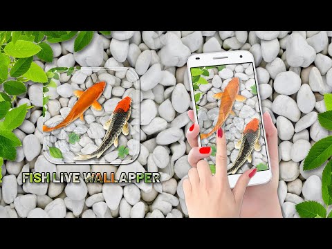 рыба жить обои аквариум кои 3D для Android — официальный трейлер
