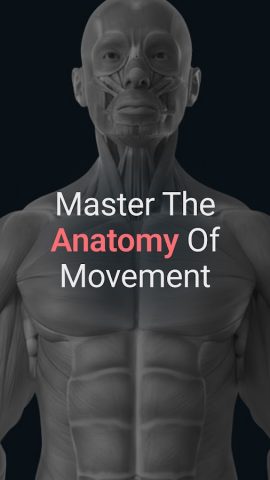 Anatomy by M&M для Android — скриншот 1