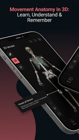 Anatomy by M&M для Android — скриншот 2