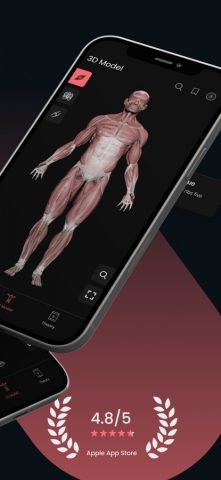 Anatomy by M&M для iOS — скриншот 3
