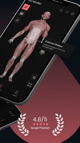 Anatomy by M&M для Android — скриншот 3