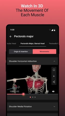 Anatomy by M&M для Android — скриншот 4