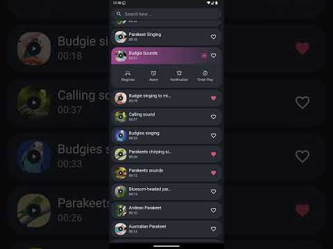 Appp.io — Попугай Звуки для Android — официальный трейлер