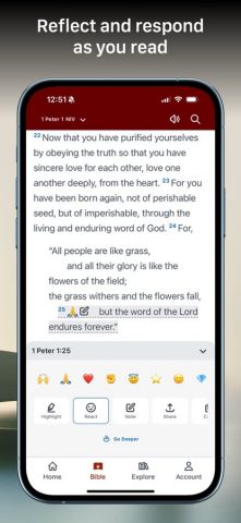 Bible Gateway для iOS — скриншот 5