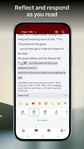 Bible Gateway для Android — скриншот 5