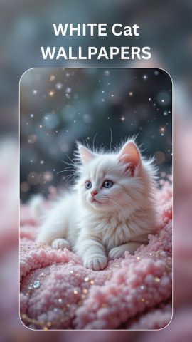 Cute Cat Wallpaper – Black Cat — скриншот 2