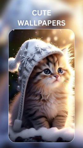 Cute Cat Wallpaper – Black Cat — скриншот 4