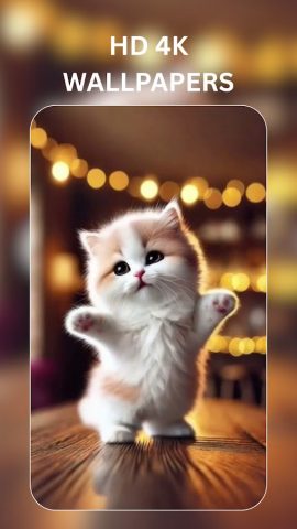 Cute Cat Wallpaper – Black Cat — скриншот 5