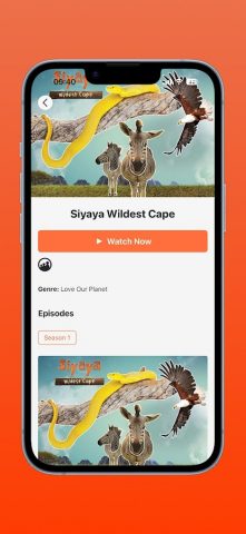 Da Vinci Family Entertainment для Android — скриншот 4