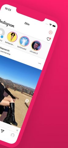 Dim: Anon Story Viewer for IG для iOS — скриншот 2