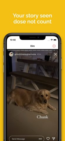 Dim: Anon Story Viewer for IG для iOS — скриншот 3