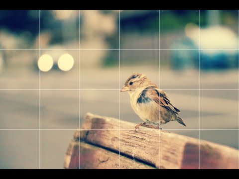 Drawing Grid для Android — официальный трейлер