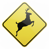 Экзамен по вождению | Ehliyet для iOS