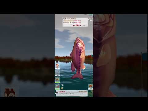 Fishing Club: Bass, Carp & Co — официальный трейлер