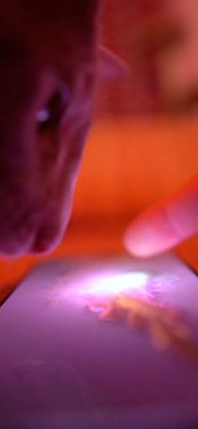 Fluid Simulation для iOS — скриншот 1