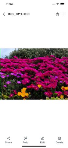 Gallery — Photos & Videos для iOS — скриншот 4