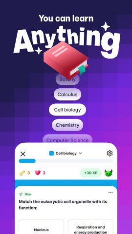 Gizmo: AI Flashcards and Tutor для Android — скриншот 1