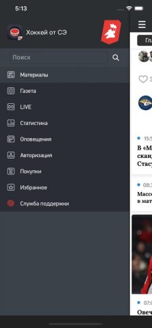 Хоккей от СЭ — скриншот 1