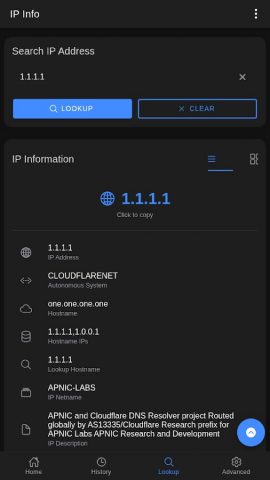 IP Info: Public IP, Geo Lookup для Android — скриншот 3