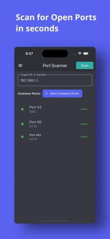 IP Scanner: Network Tools для iOS — скриншот 4