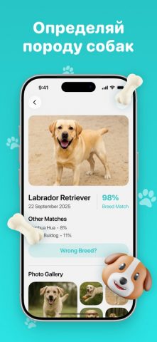 Идентификатор породы собак для iOS — скриншот 1