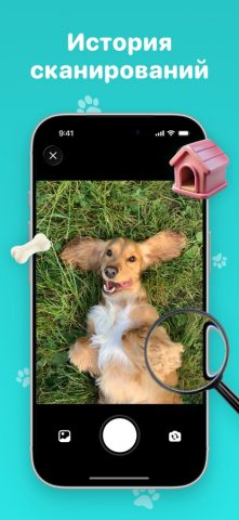 Идентификатор породы собак для iOS — скриншот 2