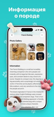 Идентификатор породы собак для iOS — скриншот 3