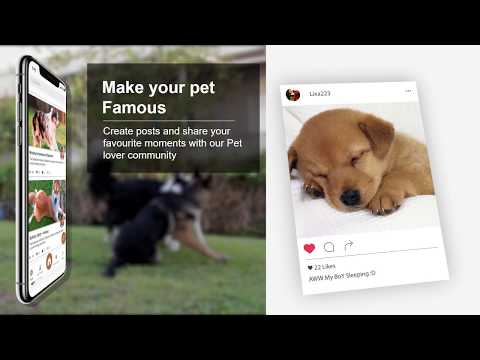 Идентификатор породы собак для Android — официальный трейлер