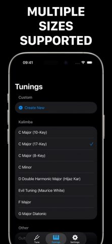 Kalimba Tuner для iOS — скриншот 2