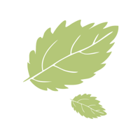 Кофейня мята | Руза для iOS