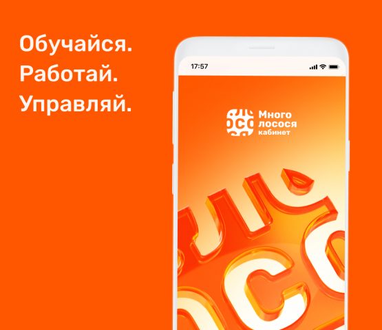 МЛ Кабинет для Android — скриншот 1