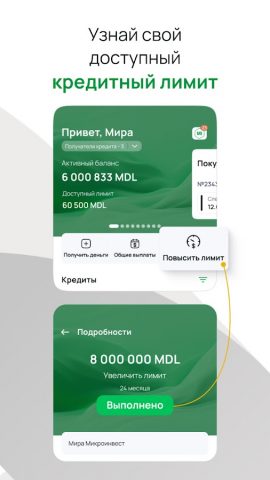 Microinvest для Android — скриншот 5