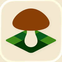 Mushroom Spot — грибная карта для iOS