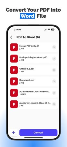 PDF to Document Convert для iOS — скриншот 4