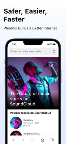 Phoenix — Fast & Safe Browser для iOS — скриншот 2