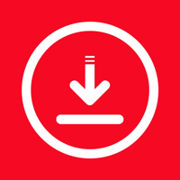 PinSaver -Скачать видео из Pin для iOS