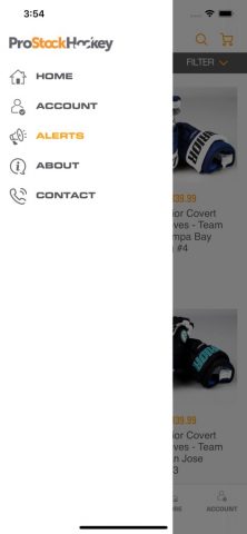 Pro Stock Hockey для iOS — скриншот 2