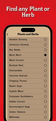 Red Dead Map & Companion для iOS — скриншот 4