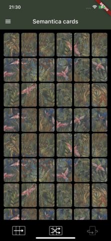 Semantica cards для iOS — скриншот 2